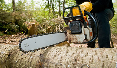 Stump Grinding